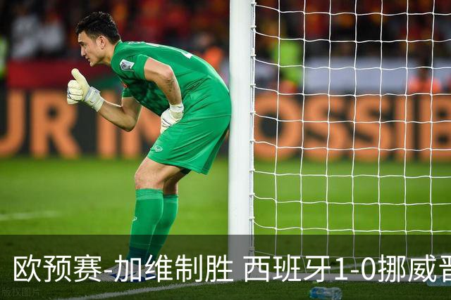 欧预赛-加维制胜 西班牙1-0挪威晋级欧洲杯正赛